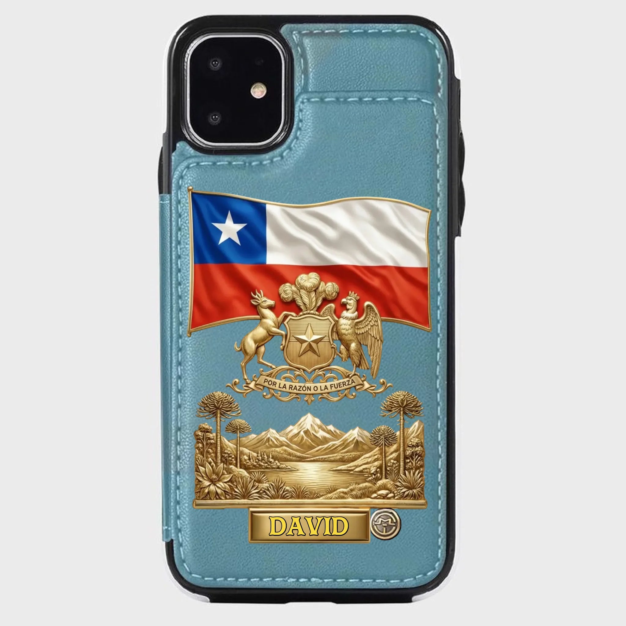 449c9811-d40f-498f-9acc-1f8195f01923