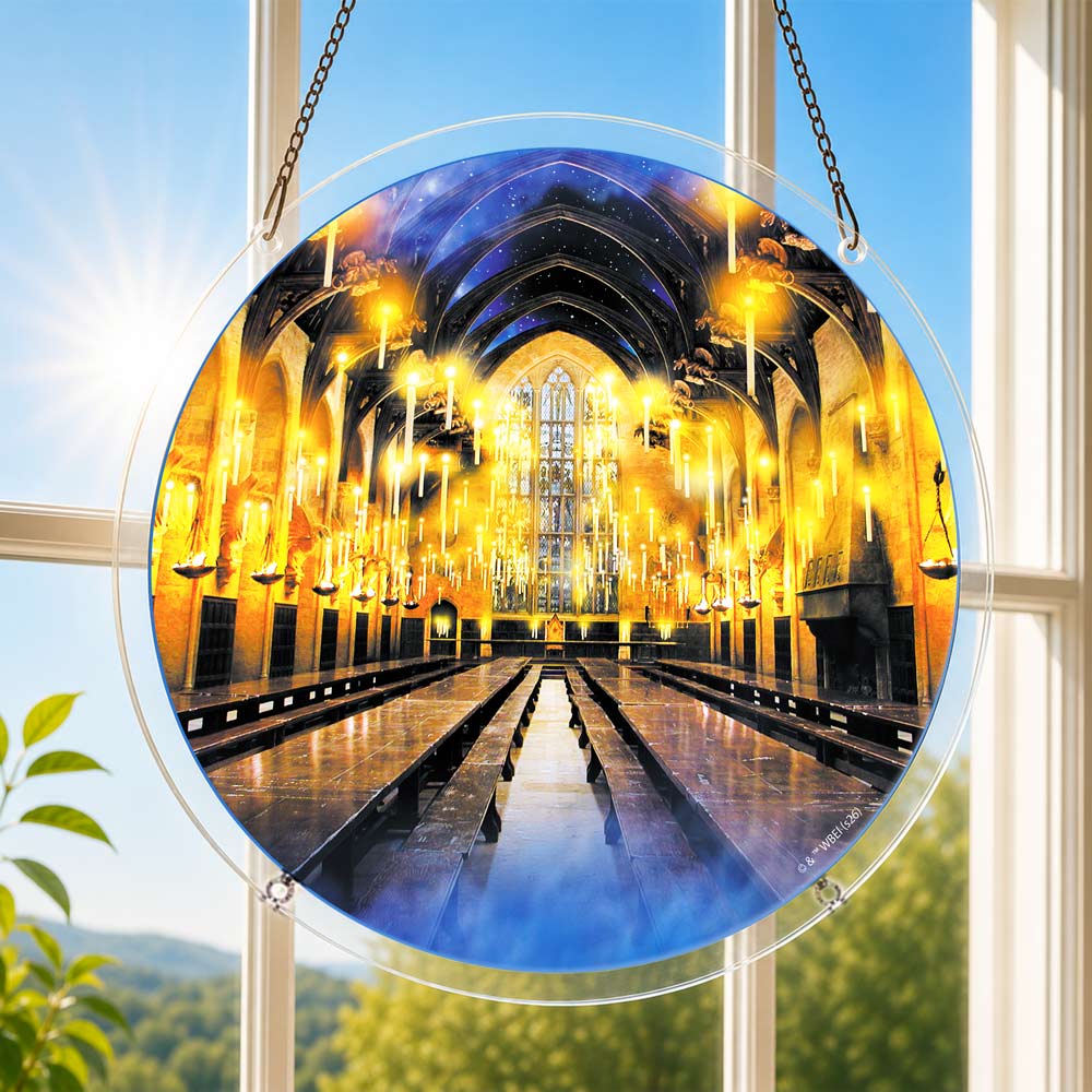 5-pack Acrylic Jigsaw Puzzle Suncatcher - Harry Potter Set